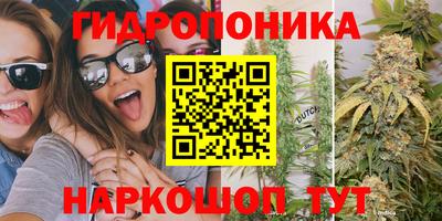 mdpv Будённовск