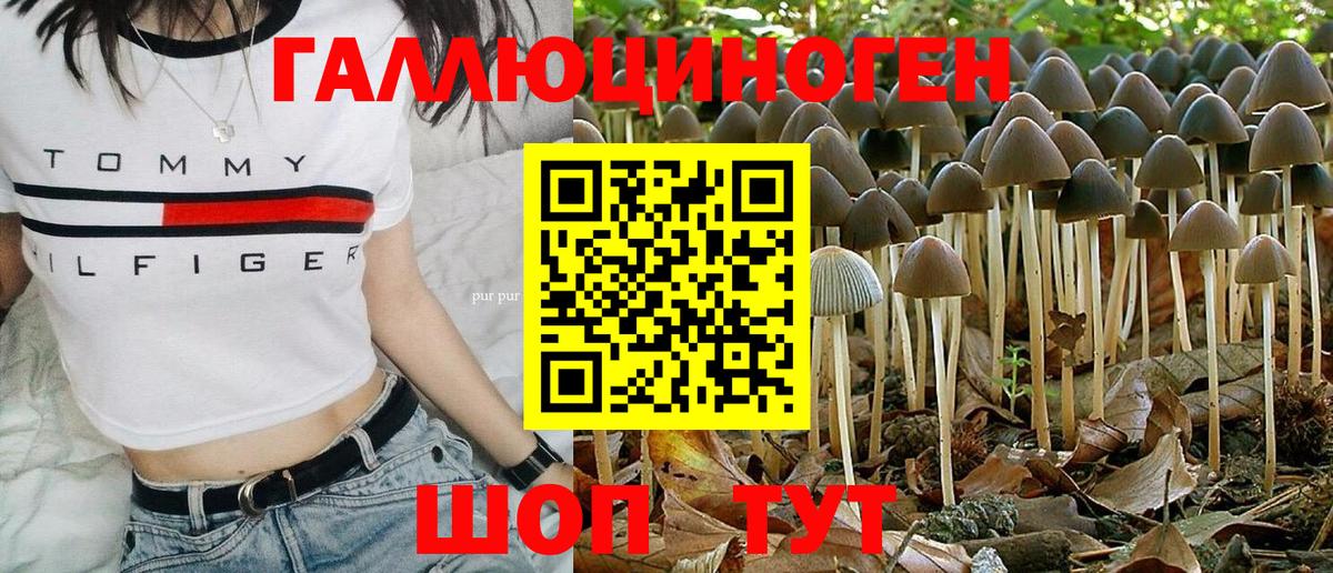 Псилоцибиновые грибы ЛСД Ревда