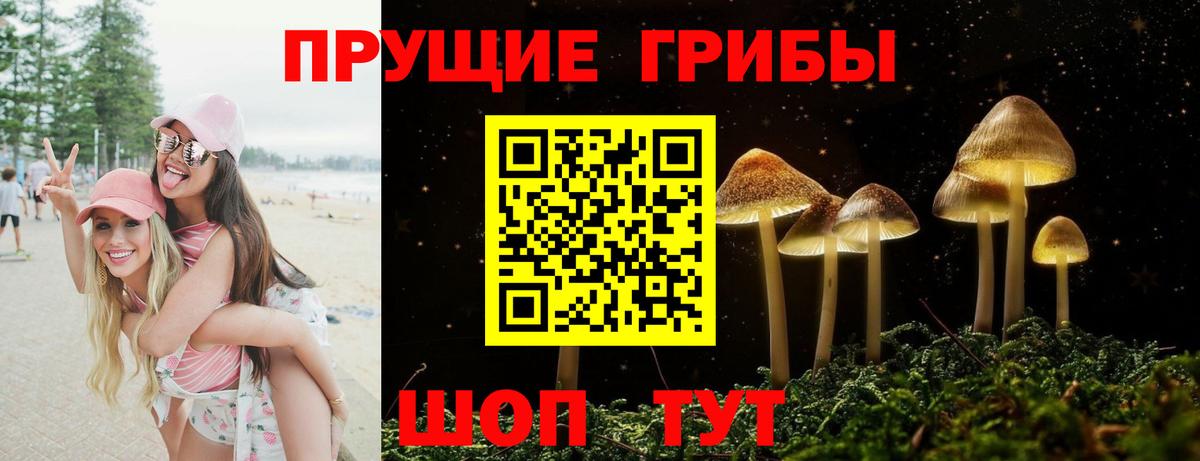 Галлюциногенные грибы Psilocybine cubensis  Вход с VPN  Ревда 