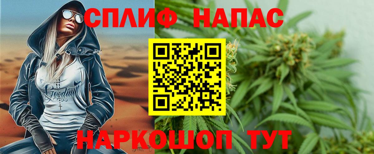 Конопля сатива Ревда